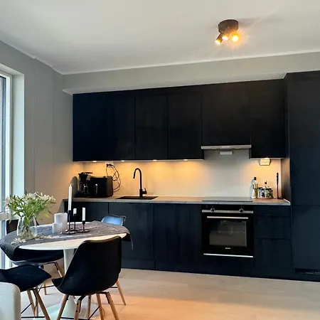 Modern, Brand-new In The Heart Of Daire Bergen